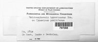 Image Associated With the Occurence